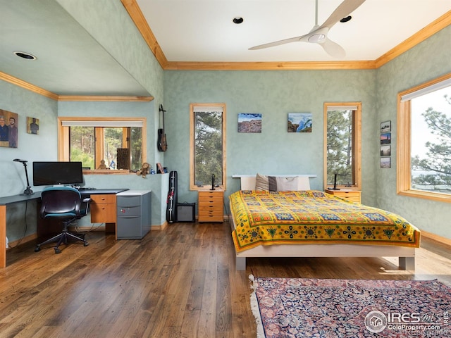 bedroom featuring crown molding, multiple windows, dark wood-type flooring, a desk, and baseboards