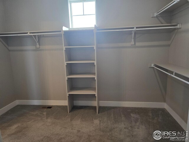walk in closet featuring dark colored carpet