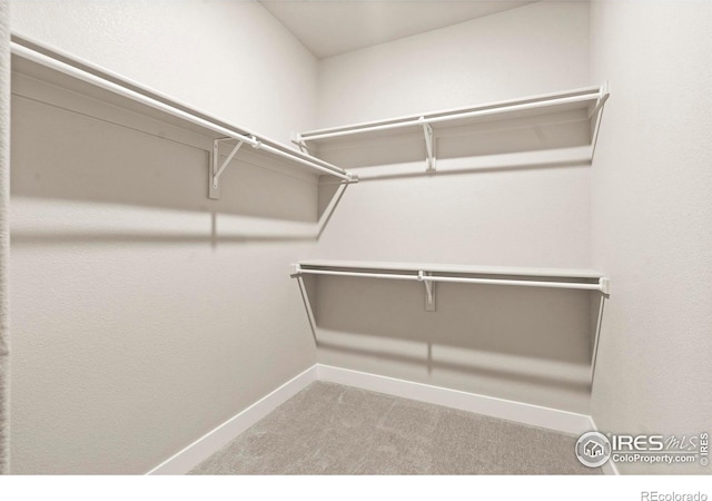 1940 Rolling Wind Dr, Windsor, CO 80550 - spacious closet featuring carpet floors