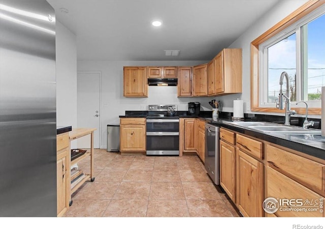 kitchen featuring stainless steel appliances, a sink, healthy amount of natural light, and dark countertops