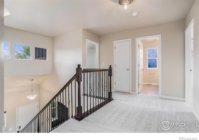 6725 2nd St, Frederick, CO 80530 - staircase with carpet flooring and baseboards