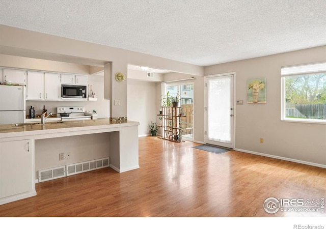 4160 Monroe Dr Unit B, Boulder, CO 80303 - kitchen with white appliances, a sink, a textured ceiling, light wood-type flooring, and plenty of natural light