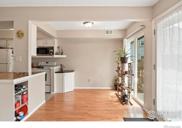 4160 Monroe Dr Unit B, Boulder, CO 80303 - kitchen with electric stove, built in microwave, freestanding refrigerator, and light wood-style floors