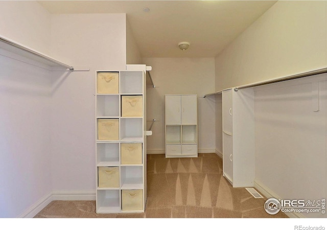 walk in closet featuring carpet floors