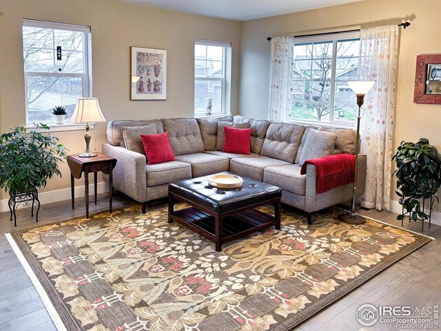 living area featuring healthy amount of natural light, wood finished floors, and baseboards