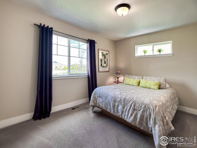 bedroom featuring baseboards and carpet floors