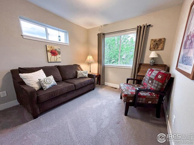 living room featuring healthy amount of natural light, carpet flooring, and baseboards