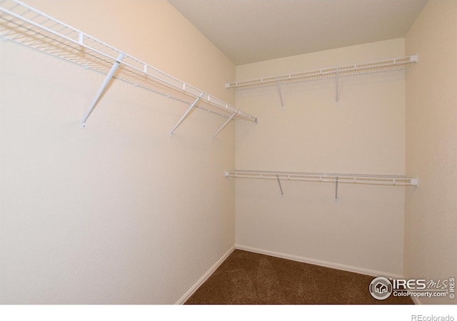 8516 8th St, Greeley, CO 80634 - spacious closet featuring carpet flooring