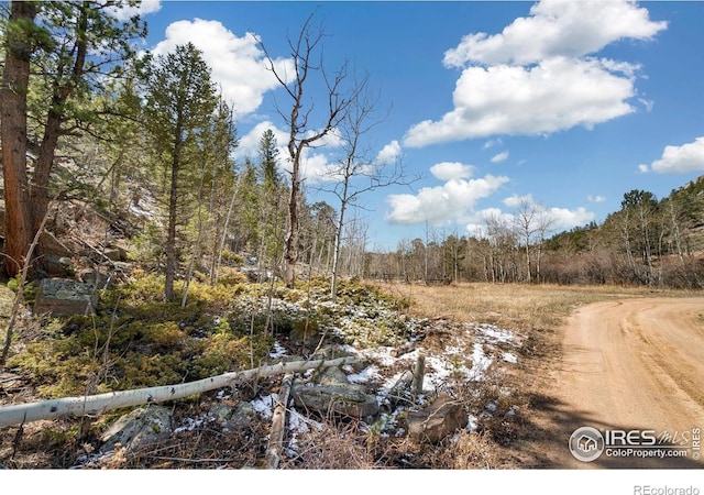 38 Ada Ct, Red Feather Lakes, CO 80545