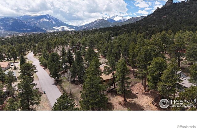 1026 Lexington Ln, Estes Park, CO 80517 - photo 40