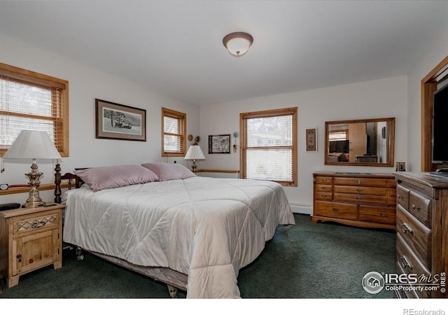 1026 Lexington Ln, Estes Park, CO 80517 - photo 17