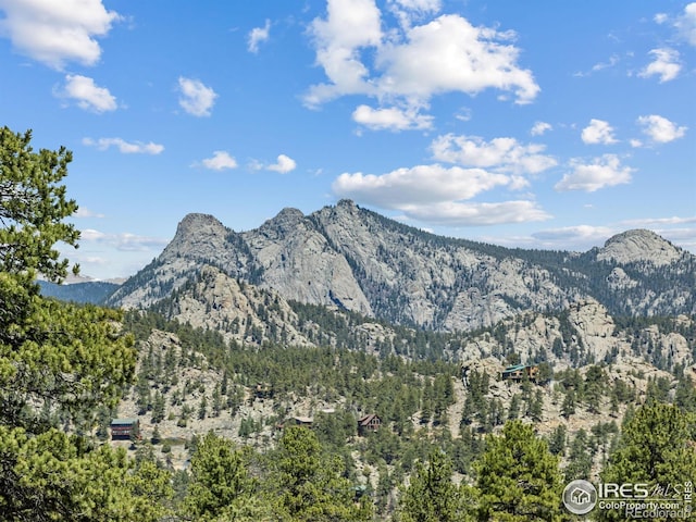 1221 Griffith Ct, Estes Park, CO 80517 - view of mountain background featuring a forest