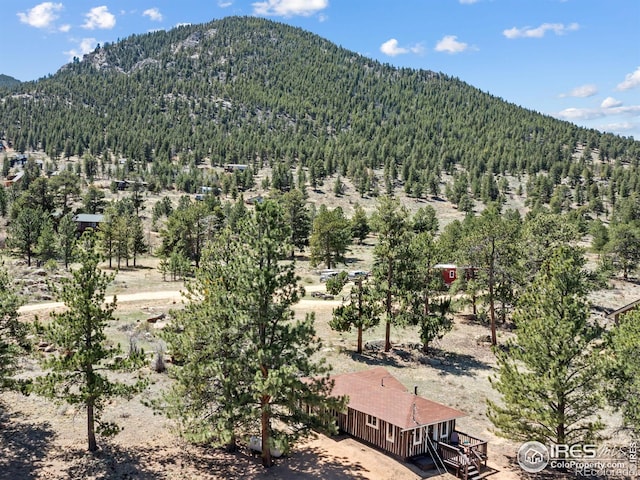 1221 Griffith Ct, Estes Park, CO 80517 - view of mountain backdrop with a heavily wooded area