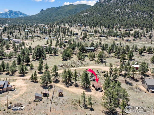1221 Griffith Ct, Estes Park, CO 80517 - bird's eye view of a mountain backdrop and a forest