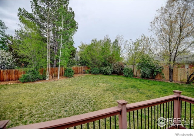 view of yard