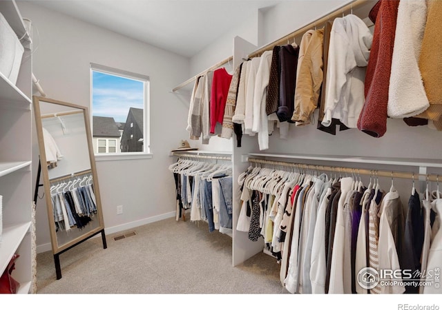 walk in closet with carpet flooring
