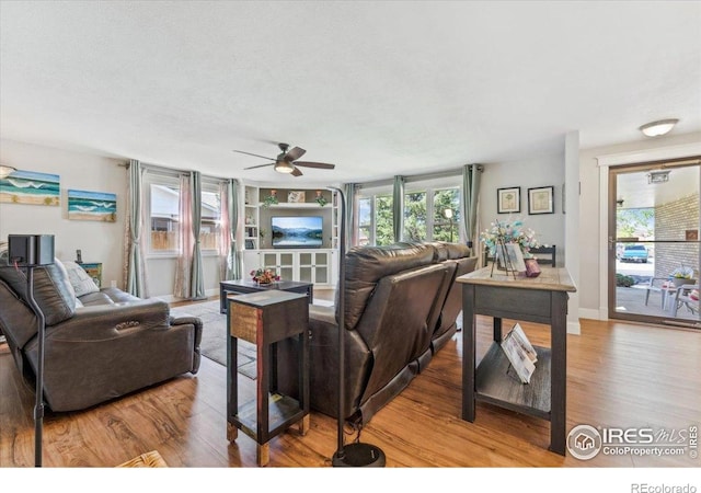 4880 Filbert Dr, Loveland, CO 80538 - living area featuring wood finished floors, a ceiling fan, and a textured ceiling