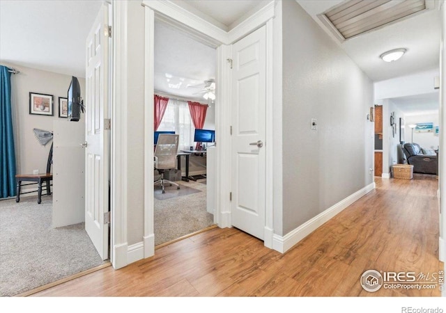 4880 Filbert Dr, Loveland, CO 80538 - corridor with an office area, light wood-style floors, and baseboards