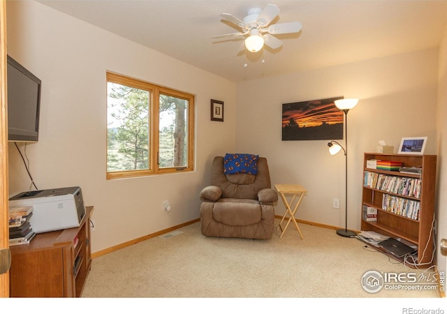 615 Guardian Peak Dr, Livermore, CO 80536 - photo 15