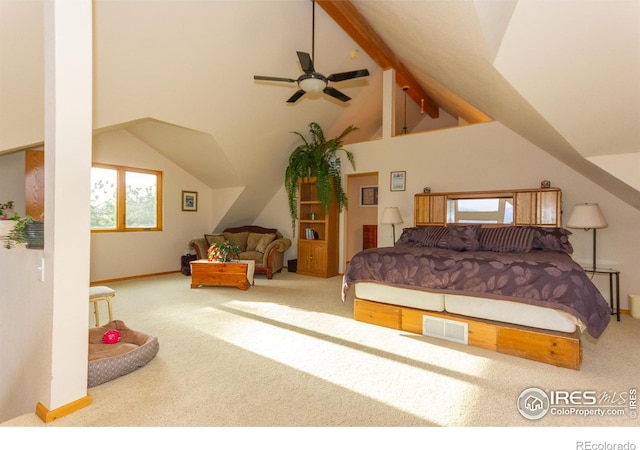 615 Guardian Peak Dr, Livermore, CO 80536 - photo 18