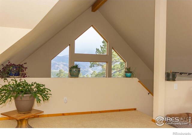 615 Guardian Peak Dr, Livermore, CO 80536 - photo 20