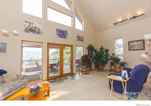615 Guardian Peak Dr, Livermore, CO 80536 - photo 24