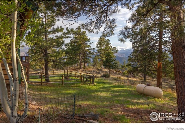 615 Guardian Peak Dr, Livermore, CO 80536 - photo 35