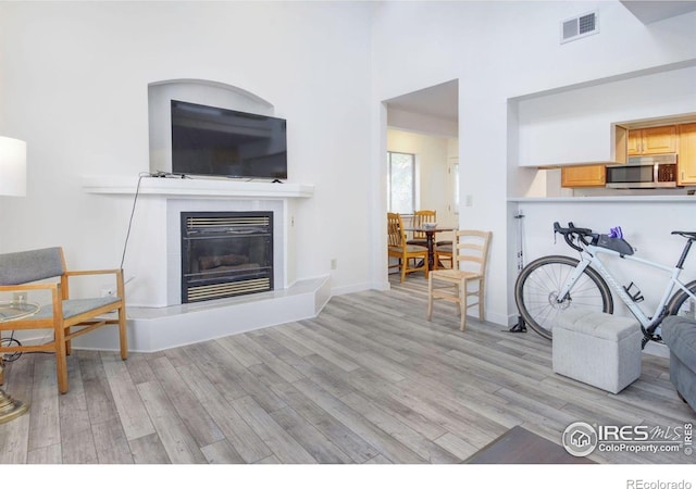 living area with light wood-style floors and a glass covered fireplace