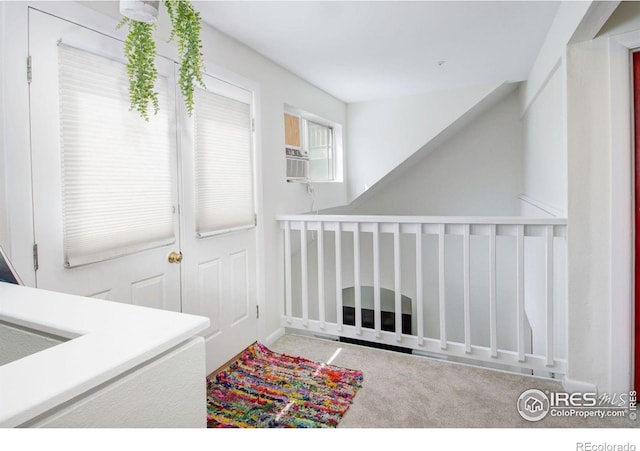 laundry room with carpet flooring