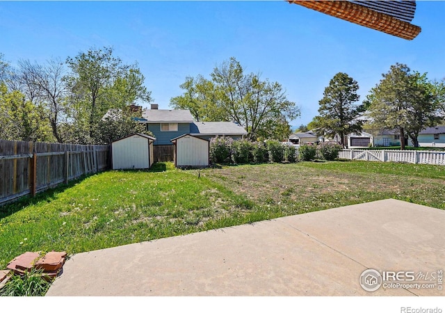 view of yard featuring a storage unit, a patio, and an outdoor structure