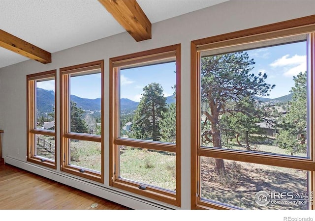 272 Solomon Dr, Estes Park, CO 80517 - detailed view of beam ceiling, baseboard heating, a mountain view, and wood finished floors