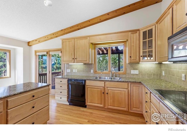 272 Solomon Dr, Estes Park, CO 80517 - kitchen with black appliances, light wood-style flooring, a sink, tasteful backsplash, and a textured ceiling