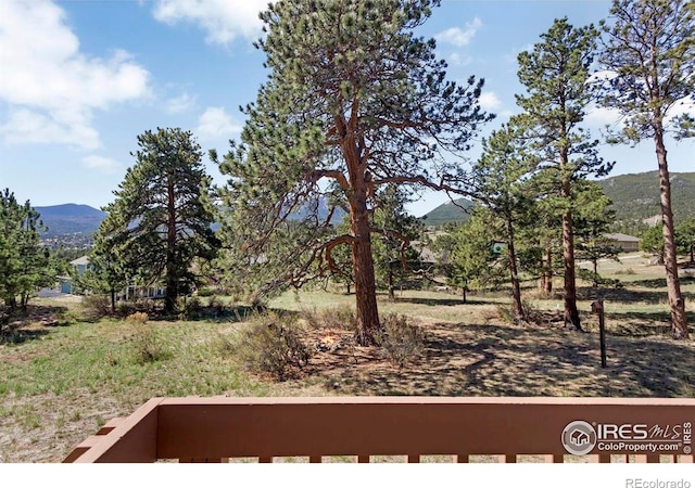 272 Solomon Dr, Estes Park, CO 80517 - view of yard featuring a mountain view