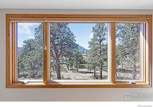 272 Solomon Dr, Estes Park, CO 80517 - detailed view of a mountain view
