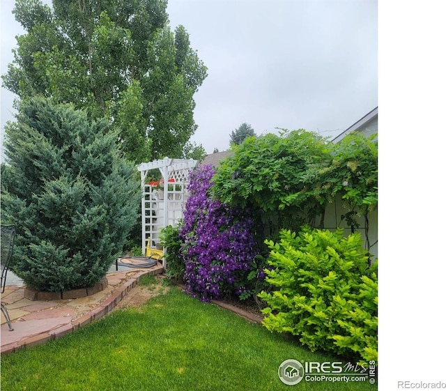 3705 Mount Spalding St, Wellington, CO 80549 - view of yard