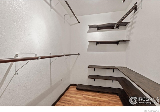 walk in closet with light wood finished floors