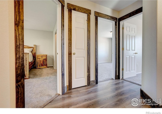 3530 Homestead Dr, Mead, CO 80542 - hallway featuring wood finished floors