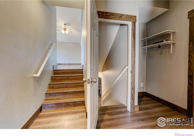 3530 Homestead Dr, Mead, CO 80542 - stairs with wood finished floors and a ceiling fan
