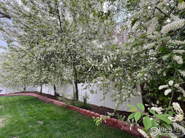 3530 Homestead Dr, Mead, CO 80542 - view of yard