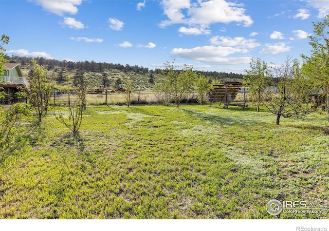 view of yard with a view of rural / pastoral area