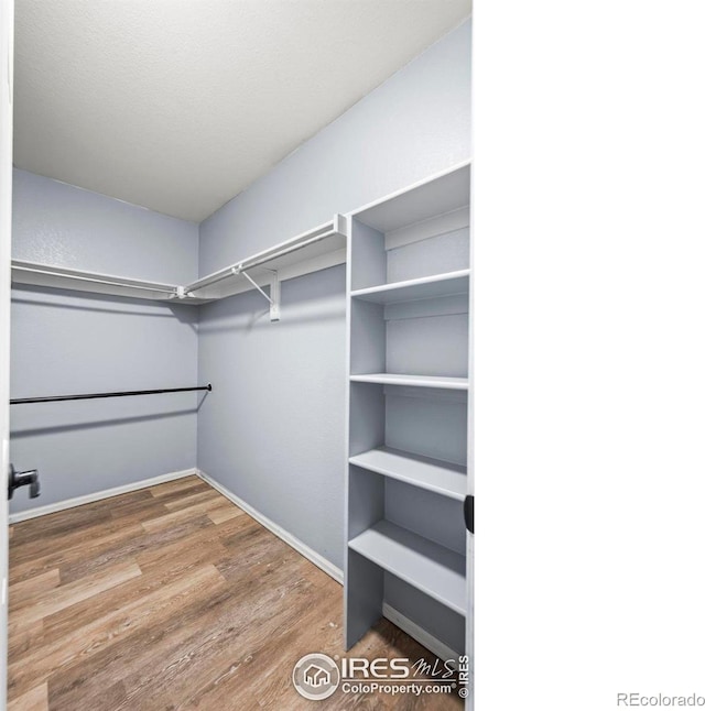 2002 E 102nd Cir, Thornton, CO 80229 - spacious closet featuring wood finished floors