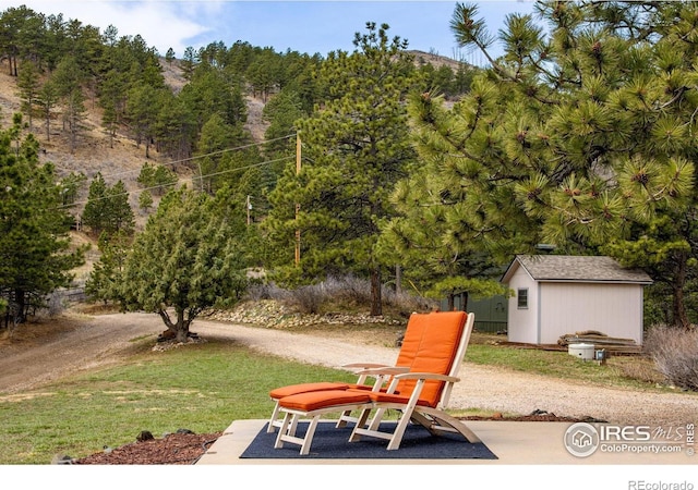 6300 Feldspar Ct, Bellvue, CO 80512 - view of patio with a storage shed