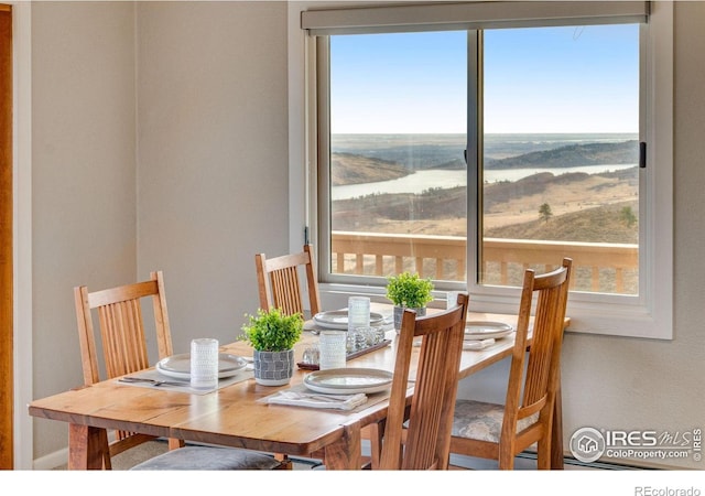 6300 Feldspar Ct, Bellvue, CO 80512 - dining room featuring healthy amount of natural light