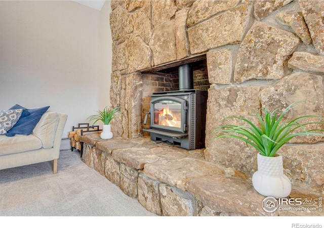 6300 Feldspar Ct, Bellvue, CO 80512 - living room featuring a wood stove and carpet