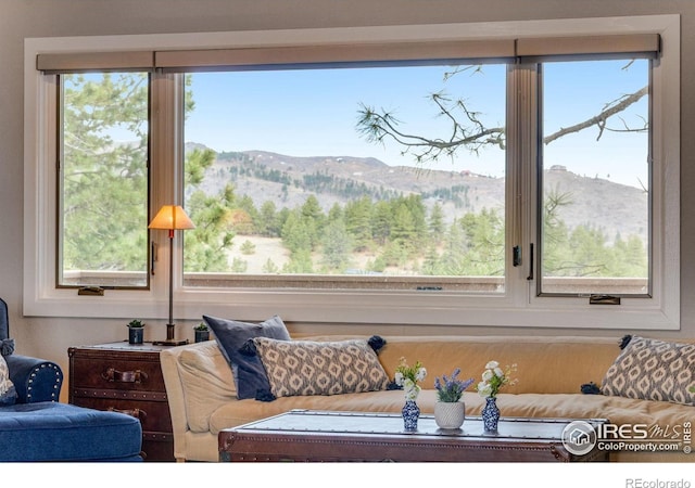 6300 Feldspar Ct, Bellvue, CO 80512 - living area featuring a mountain view