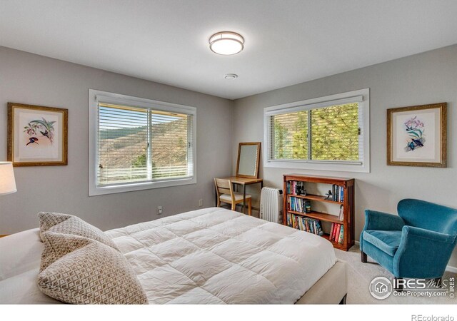 6300 Feldspar Ct, Bellvue, CO 80512 - carpeted bedroom featuring multiple windows