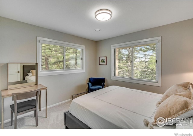 6300 Feldspar Ct, Bellvue, CO 80512 - carpeted bedroom with multiple windows