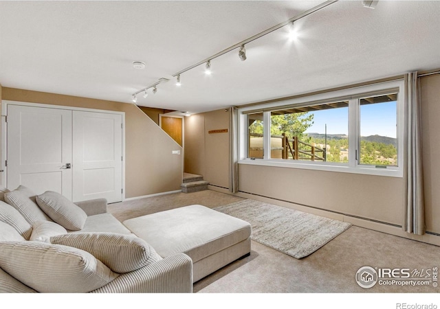 6300 Feldspar Ct, Bellvue, CO 80512 - carpeted living room with track lighting and stairs