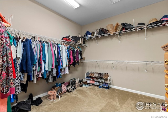 spacious closet featuring carpet