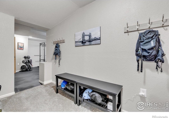 1304 Monarch Ct, Longmont, CO 80504